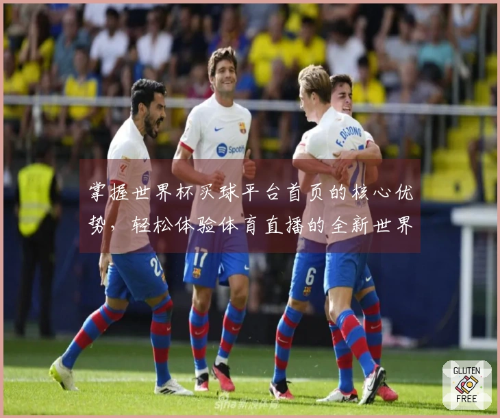 掌握世界杯买球平台首页的核心优势，轻松体验体育直播的全新世界
