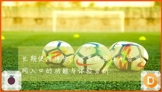 长期使用评价：世界杯投注平台官网入口的功能与体验分析