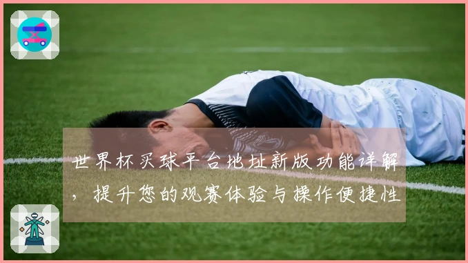 世界杯买球平台地址新版功能详解，提升您的观赛体验与操作便捷性
