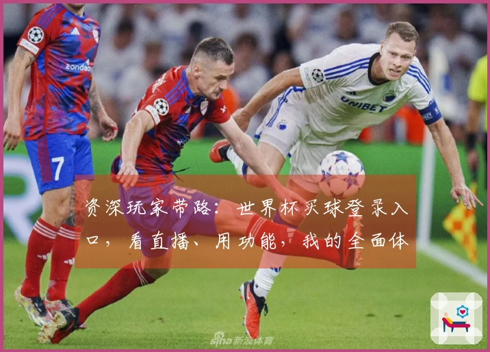 资深玩家带路:世界杯买球登录入口,看直播、用功能,我的全面体验分享