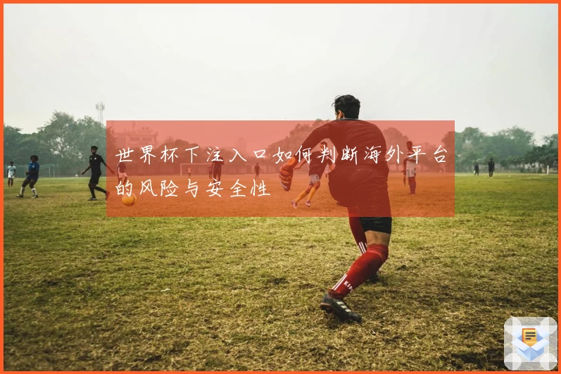 世界杯下注入口如何判断海外平台的风险与安全性
