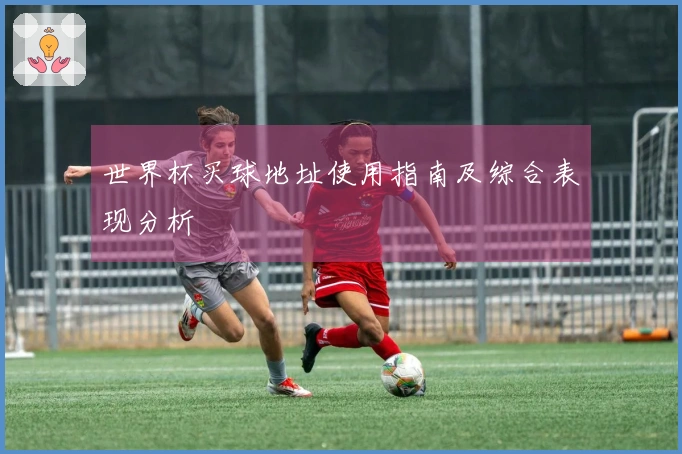 世界杯买球地址使用指南及综合表现分析
