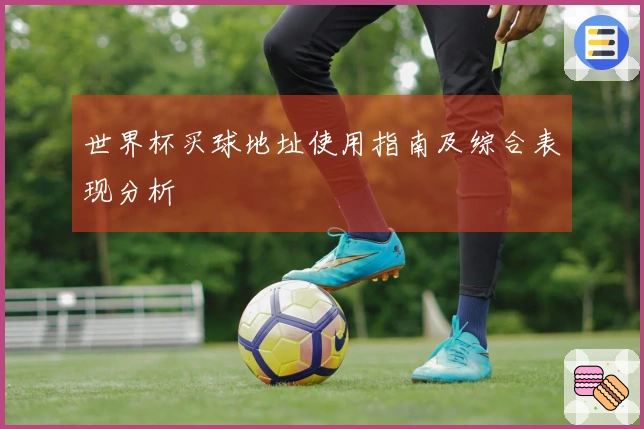 世界杯买球地址使用指南及综合表现分析