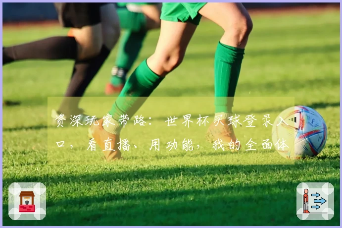 资深玩家带路：世界杯买球登录入口，看直播、用功能，我的全面体验分享