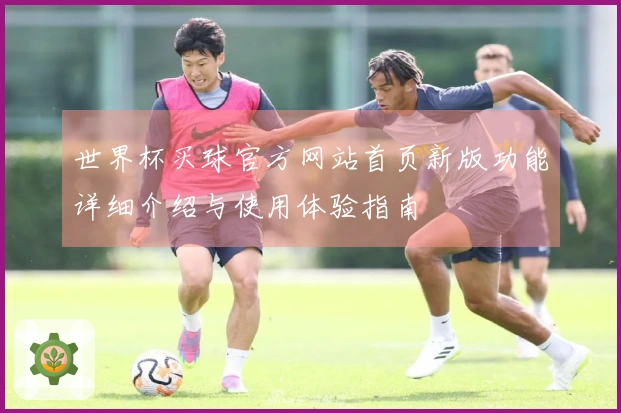 世界杯买球官方网站首页新版功能详细介绍与使用体验指南