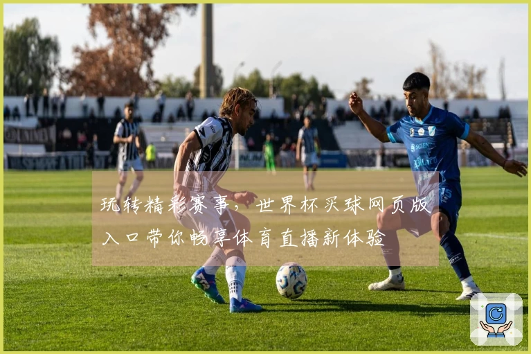 玩转精彩赛事，世界杯买球网页版入口带你畅享体育直播新体验