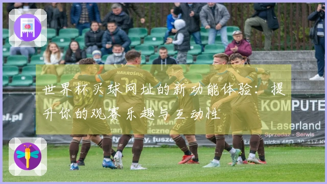 世界杯买球网址的新功能体验：提升你的观赛乐趣与互动性