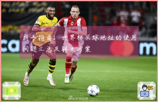 新手指南：世界杯买球地址的使用问题汇总及解决方案