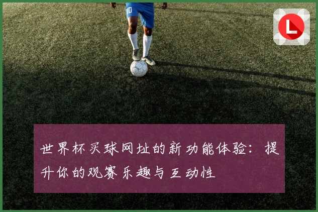 世界杯买球网址的新功能体验：提升你的观赛乐趣与互动性