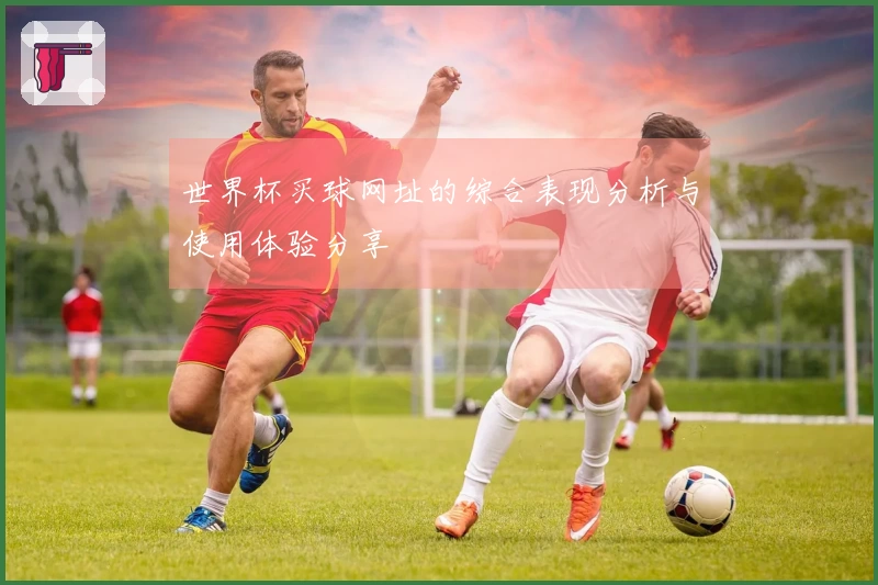 世界杯买球网址的综合表现分析与使用体验分享