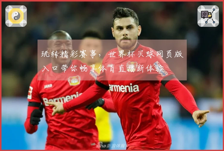 玩转精彩赛事，世界杯买球网页版入口带你畅享体育直播新体验