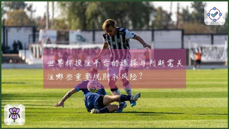 世界杯投注平台的选择与判断需关注哪些重要规则和风险？
