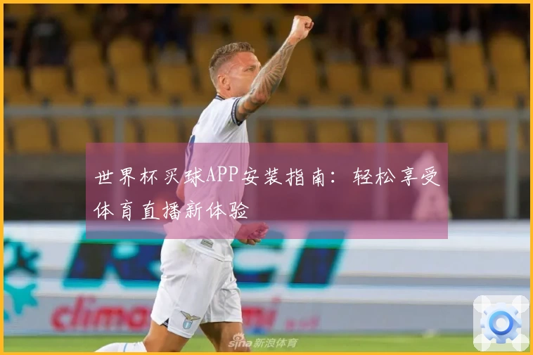 世界杯买球APP安装指南：轻松享受体育直播新体验