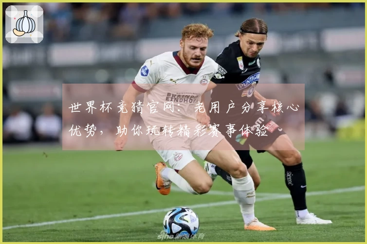 世界杯竞猜官网：老用户分享核心优势，助你玩转精彩赛事体验