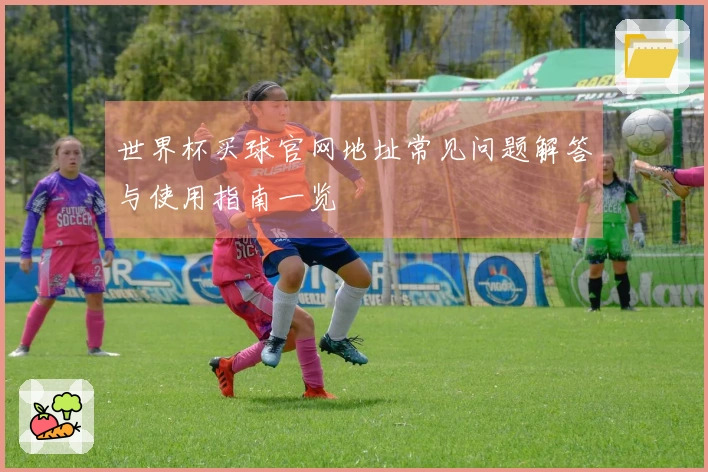 世界杯买球官网地址常见问题解答与使用指南一览