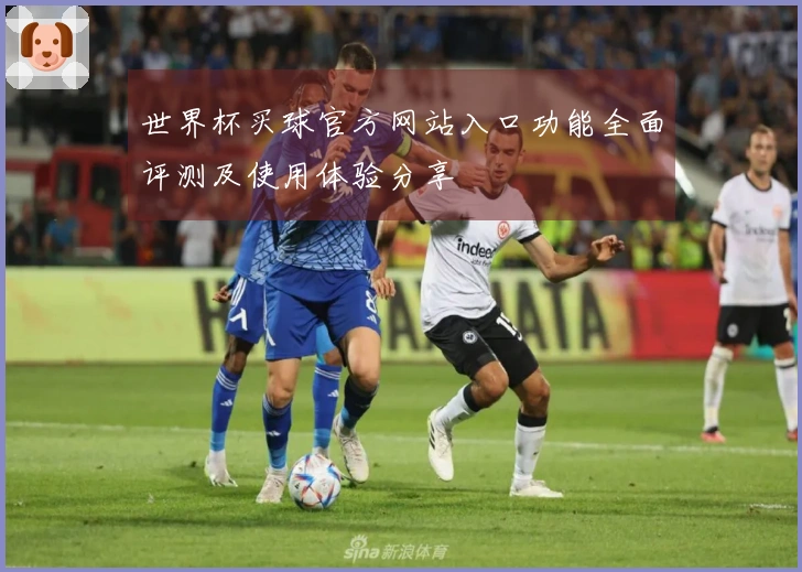世界杯买球官方网站入口功能全面评测及使用体验分享