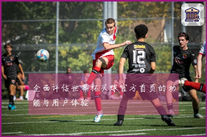 全面评估世界杯买球官方首页的功能与用户体验