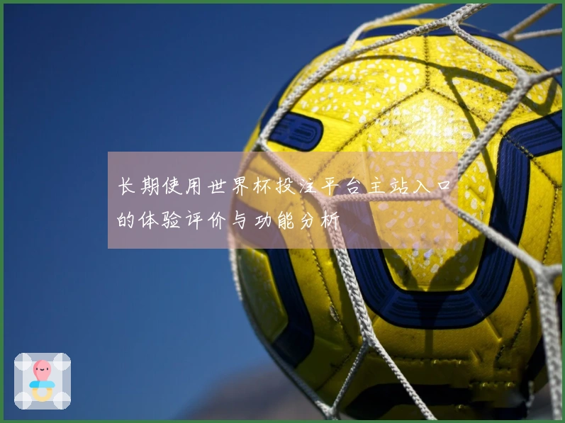 长期使用世界杯投注平台主站入口的体验评价与功能分析