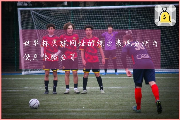 世界杯买球网址的综合表现分析与使用体验分享